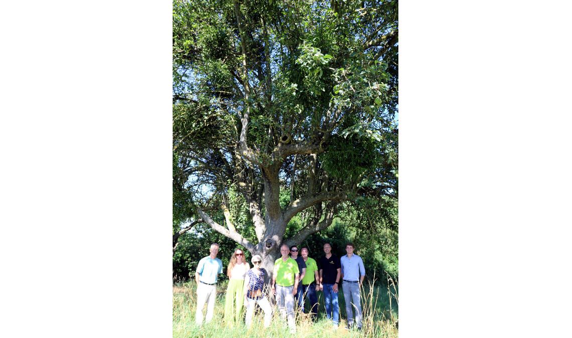Bernhard Reisch (v.li.), Nena Raabe, Stefanie Seemann, Hartmut Filsinger, Corina Klemens, Uwe Penzinger, Norman Tank und Michael Mauer. Foto: privat