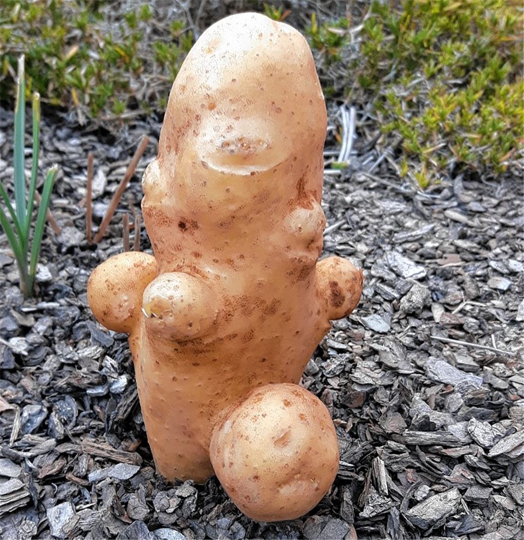 Sommerzeit