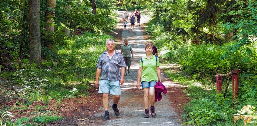 Besonders am Sonntag sind bei bestem Wetter zahlreiche Wanderfreunde auf den Strecken rund um Enzberg unterwegs.