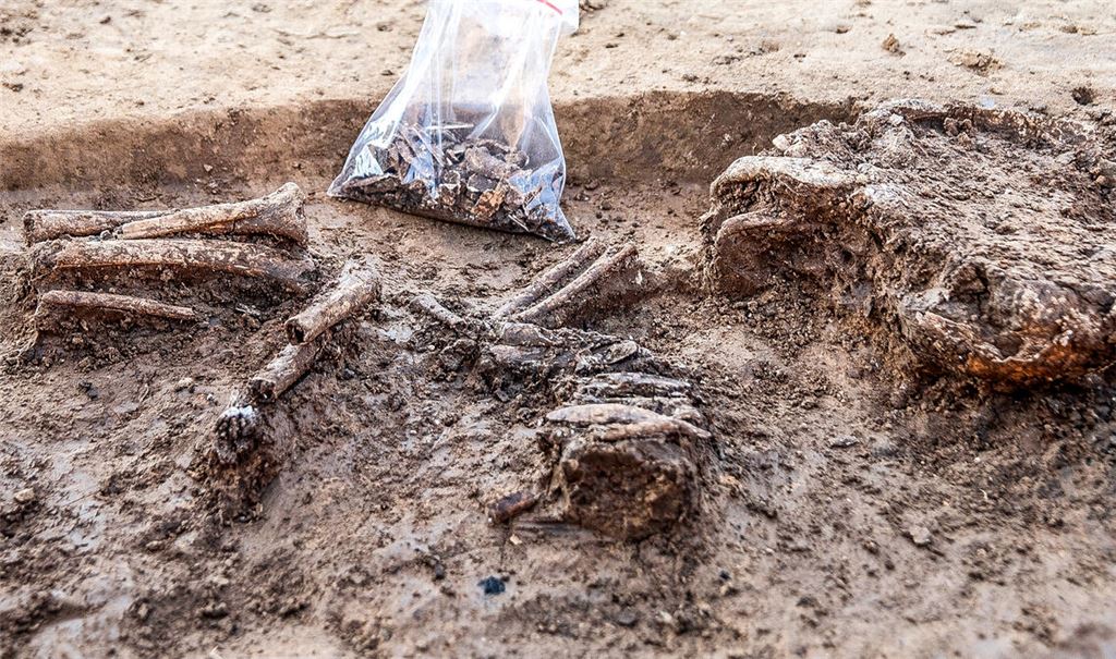 Besonders stark vertreten sind auf dem Ziegeleigelände Funde, die der Urnenfelderkultur zuzurechnen sind. Namensgebend ist die Bestattungsform. Die Verstorbenen wurden verbrannt. Weshalb sich auf der Sohle von Gruben dieser Zeit zwei Kinderskelette finden, von denen hier eines zu sehen ist, bleibt bisher eine offene Frage. Fotos: Fotomoment