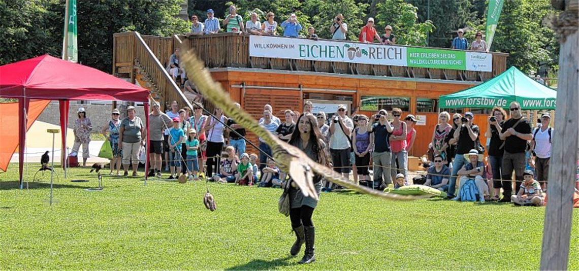 Beste Unterhaltung, bei der die Zeit wie im Flug vergeht: Gleich viermal hat sich die Garuda Falknerei am Feiertag auf der Aktionswiese der Gartenschau in Mühlacker präsentiert.