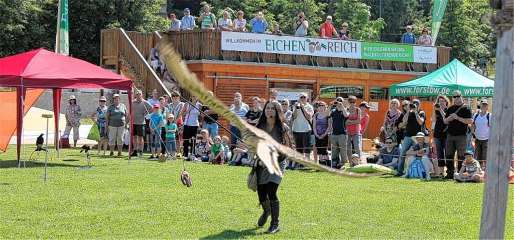 Beste Unterhaltung, bei der die Zeit wie im Flug vergeht: Gleich viermal hat sich die Garuda Falknerei am Feiertag auf der Aktionswiese der Gartenschau in Mühlacker präsentiert.