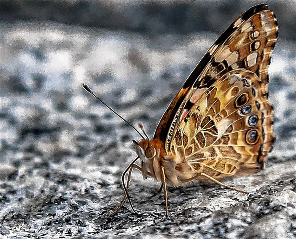 Sommerzeit Sommerzeit