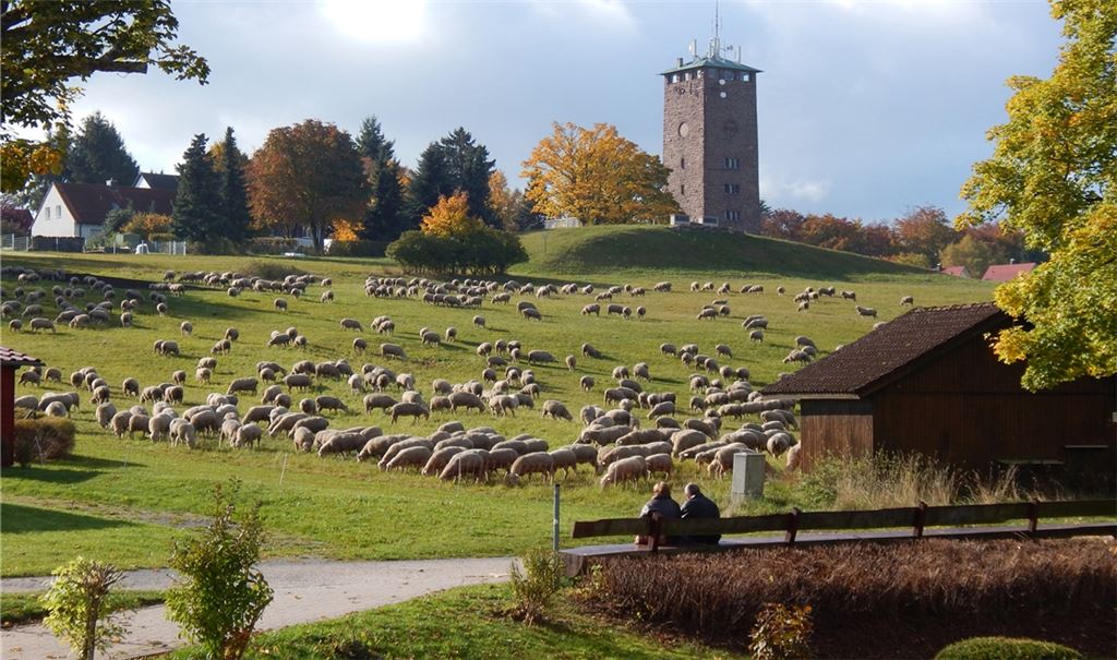 Besucher und Einheimische können Idylle pur am Dobler Wahrzeichen genießen, einem ehemaligen Wasserturm, der jetzt als Aussichtsturm genutzt wird. Foto: Lia Talbot
