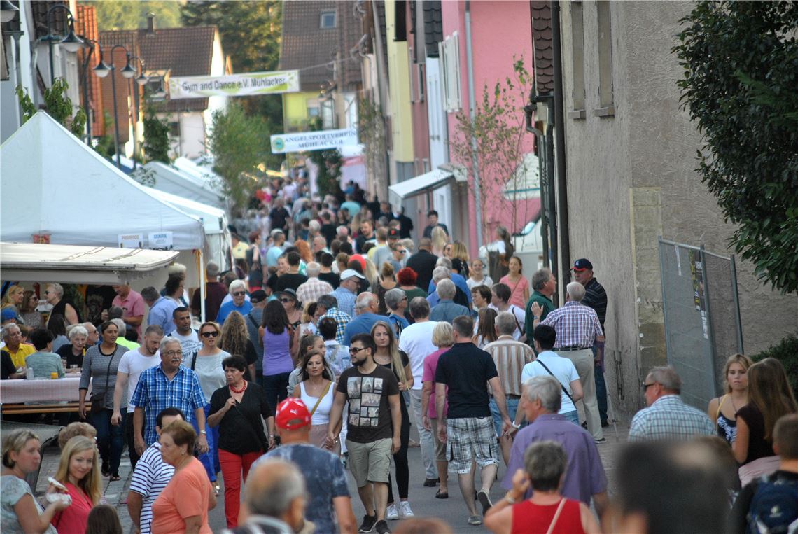 Straßenfest Mühlacker: Mehr Besucher als in den Vorjahren eld Straßenfest Mühlacker 2016 (15)