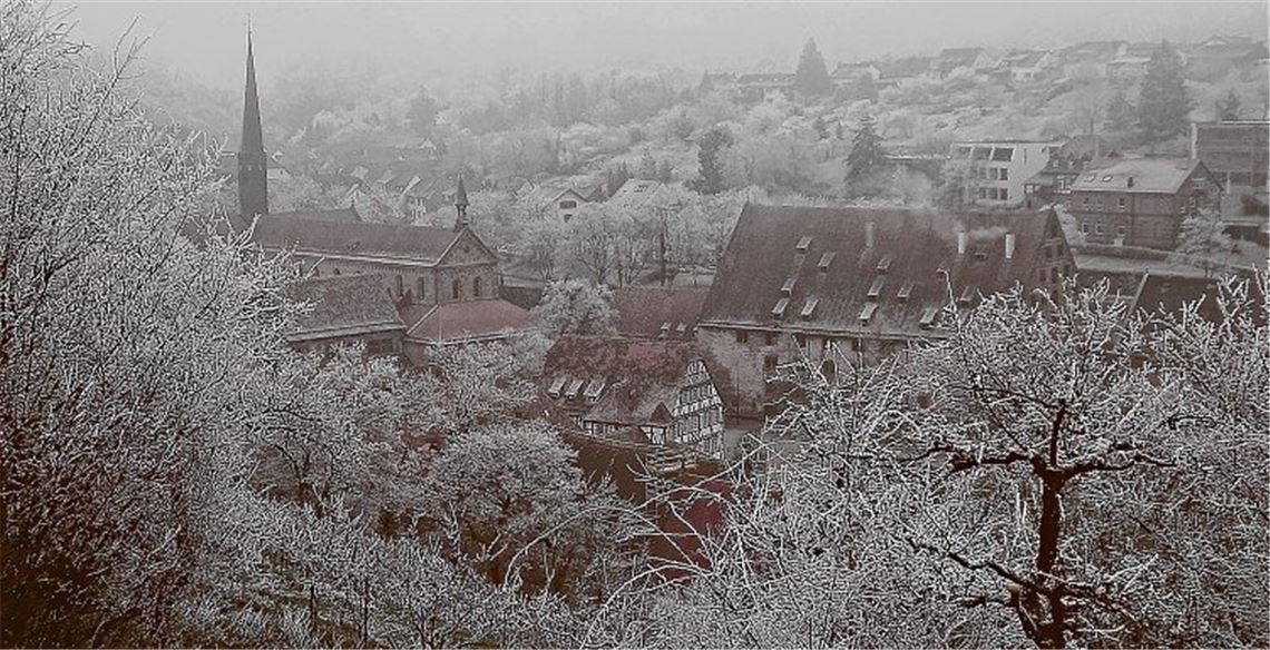 Besucherrekord im Kloster Besucherrekord im Kloster