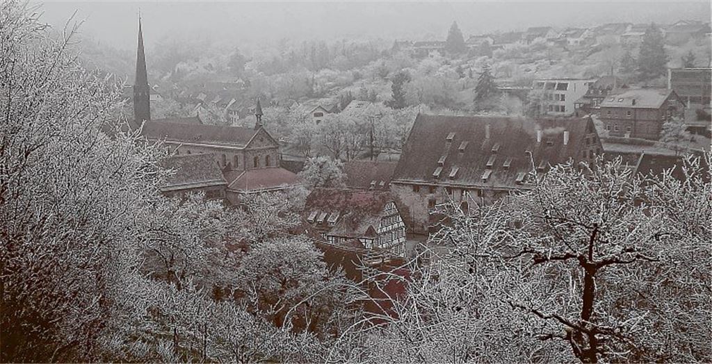 Besucherrekord im Kloster
