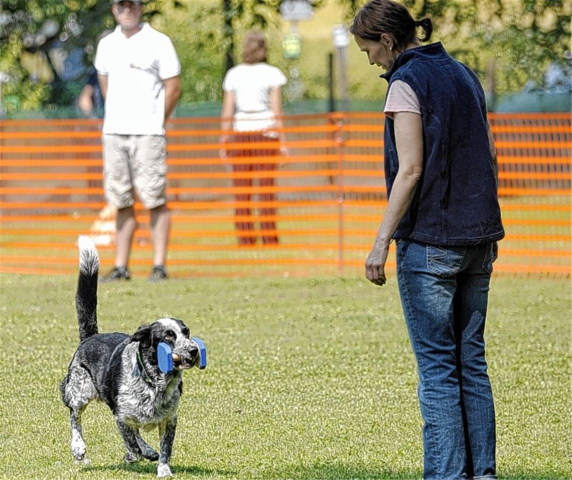 Bettina Goll vom VdH Knittlingen stellt sich mit ihrem Hund Duke beim „Sundance-Pokal“ des SWHV den hohen Anforderungen im Obedience-Wettkampf. Foto: Fotomoment