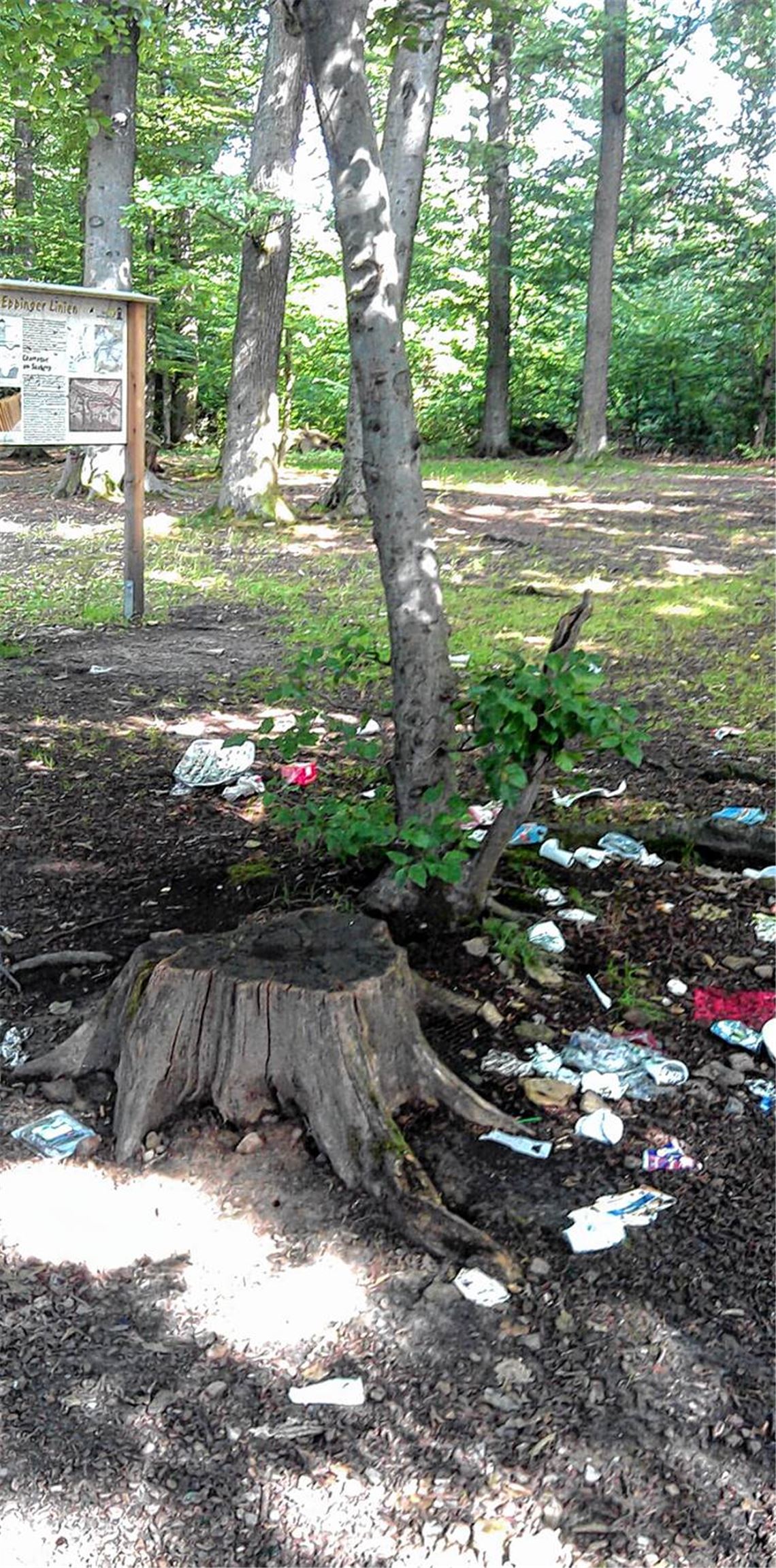 Beweisfoto: Eine Leserin hat die „Sauerei“ am Sauberg im Bild festgehalten.