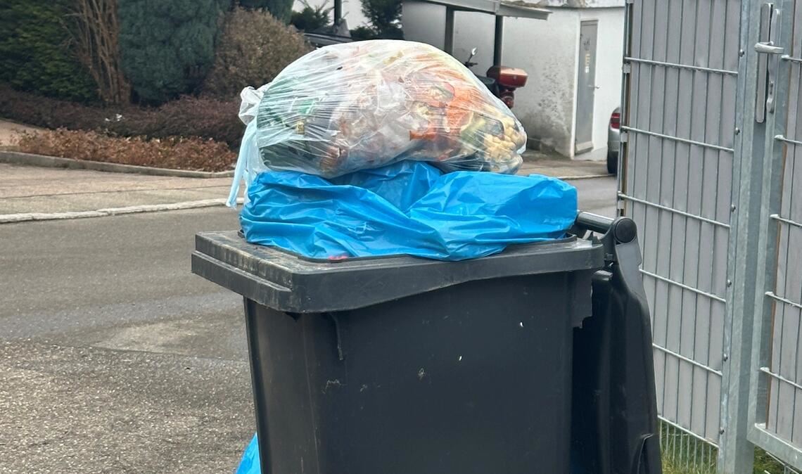 „Beweisfoto“ mit übervollen Mülltonnen, entstanden Anfang der Woche in Schweickerts Heimatort Niefern. Foto: privat