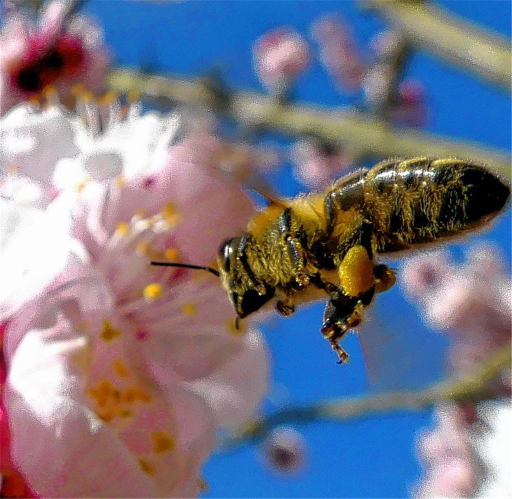 Frühlingsgefühle