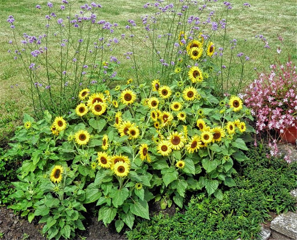 Sommerzeit