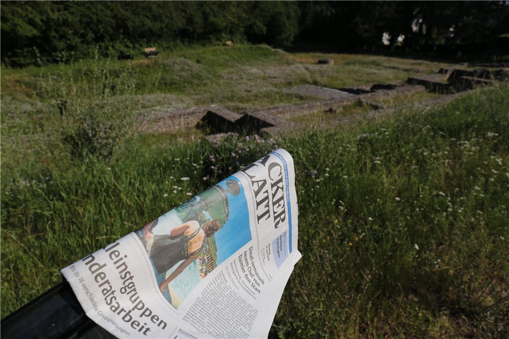 910_0008_175947_cb_sommerraetsel_enzberg