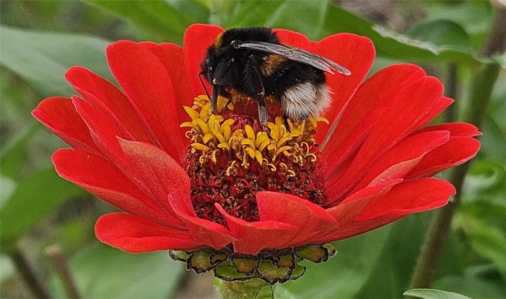 Sommerzeit