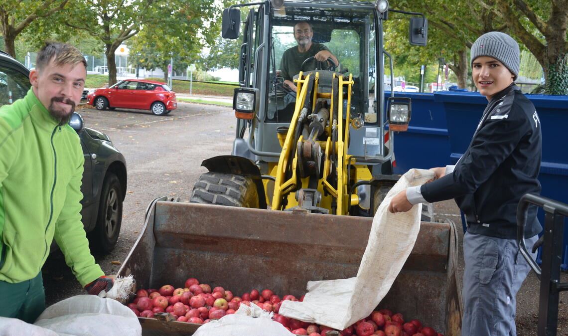 Stücklesbesitzer liefern Bio-Äpfel an