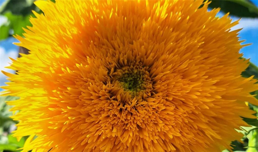 Herbstfarben