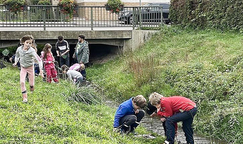 Tolles Stück Natur vor der Haustür