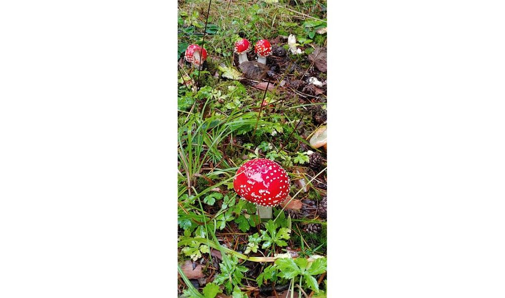 Herbstfarben