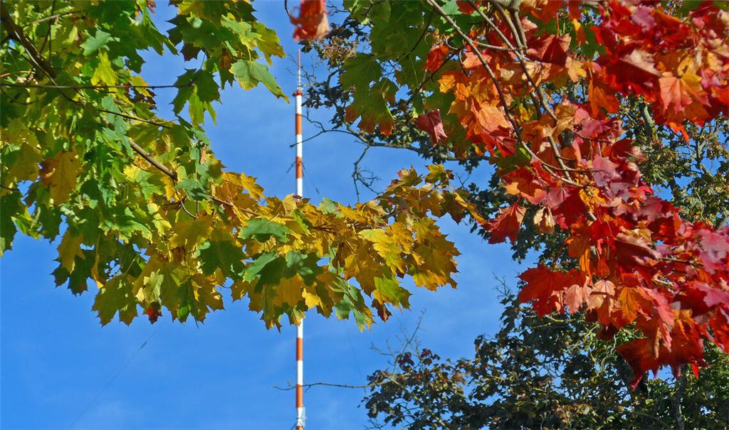 Herbstfarben