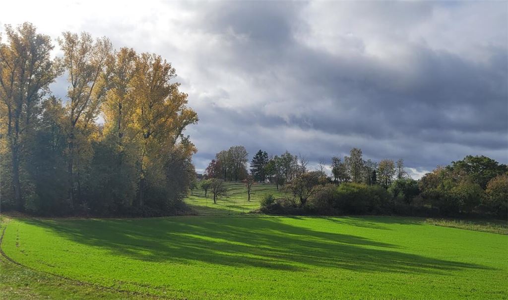 Herbstfarben