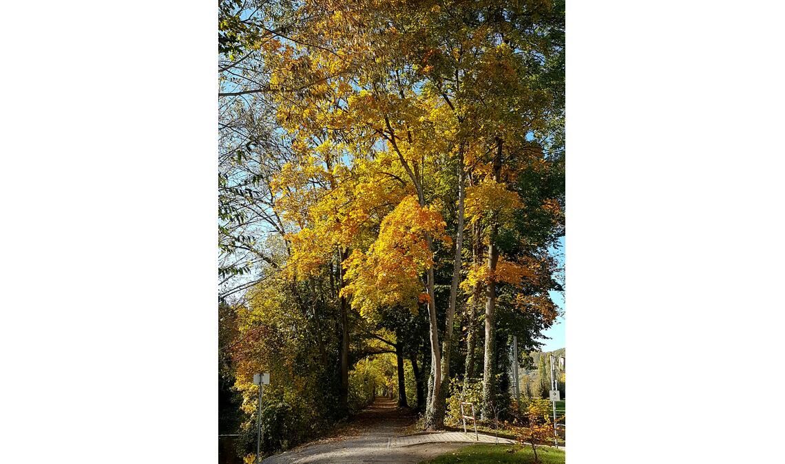 Herbstfarben