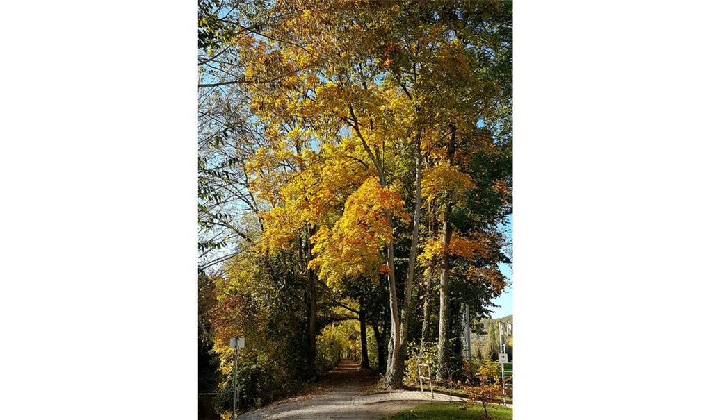 Herbstfarben