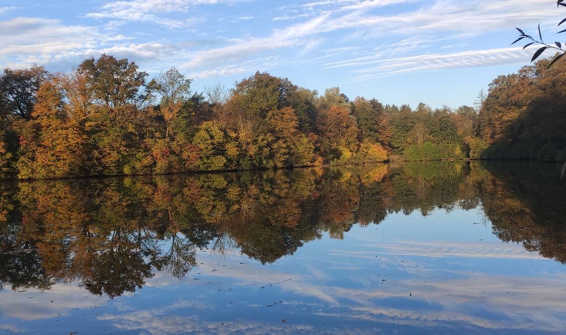Herbstfarben
