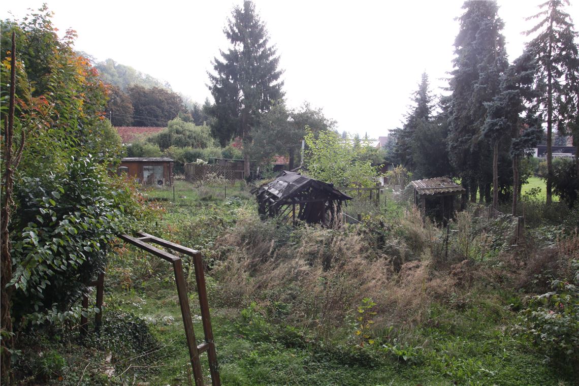 910_0008_44331_gf_Bebbauungsplan_Gartenschau_Im_Oehrlach