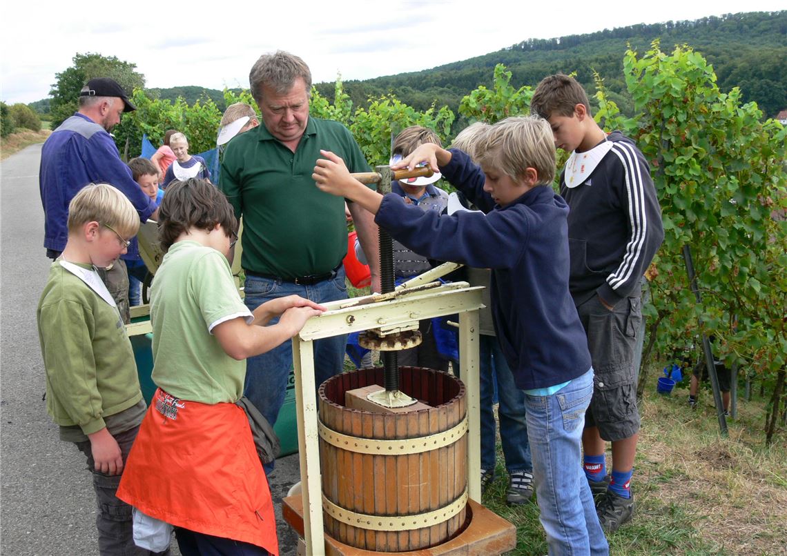Beim Raspeln und Pressen der Trauben sind die Muskeln gefragt.  Foto: Garhöfer
