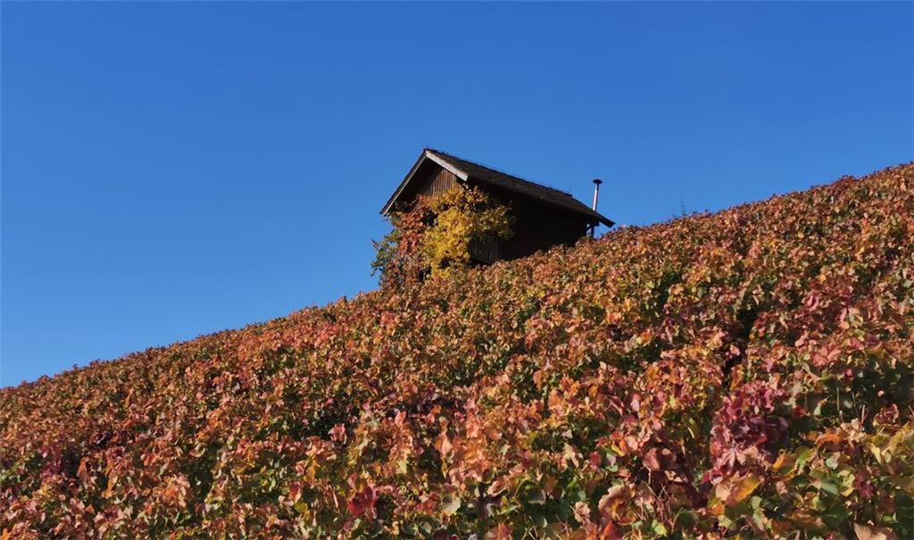 Herbstfarben