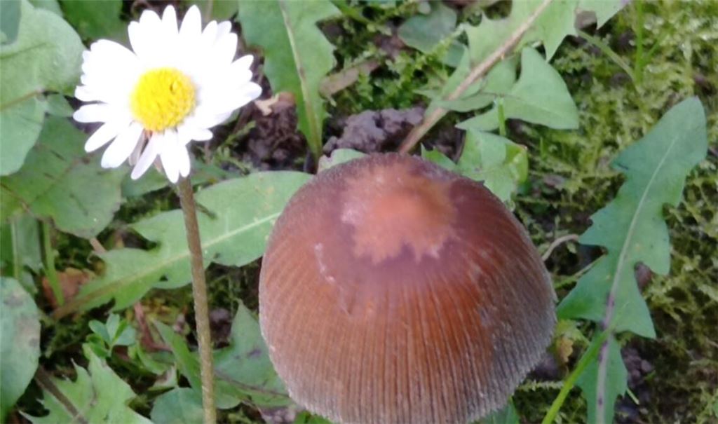 Herbstfarben