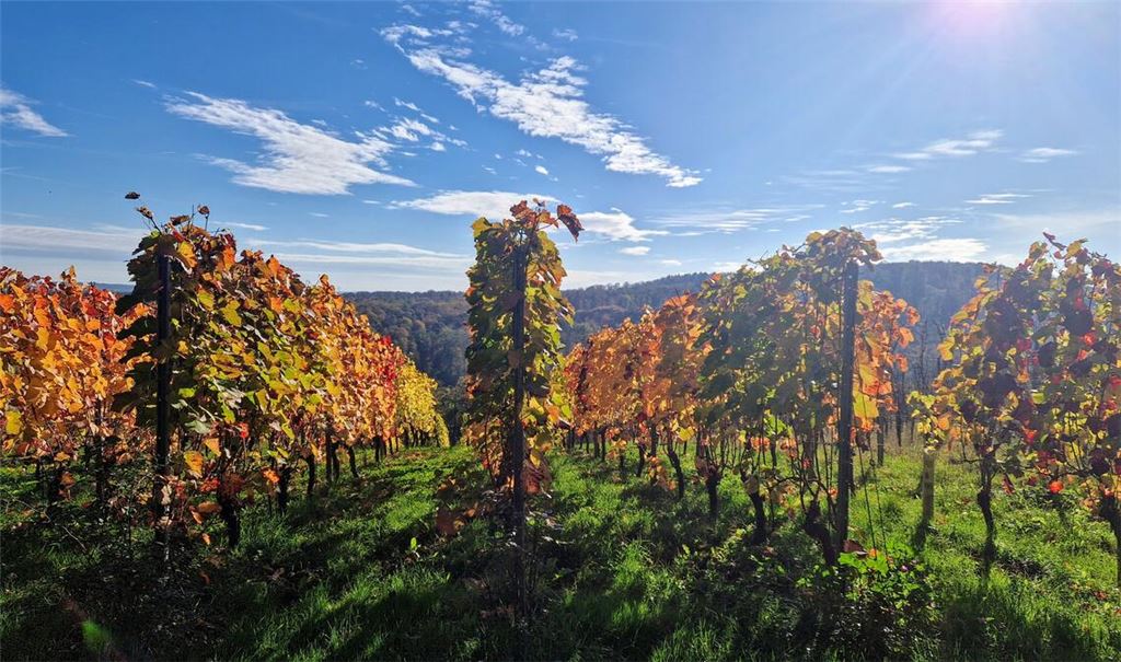 Herbstfarben