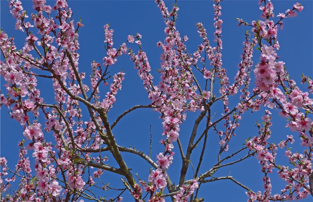 Frühlingsgefühle