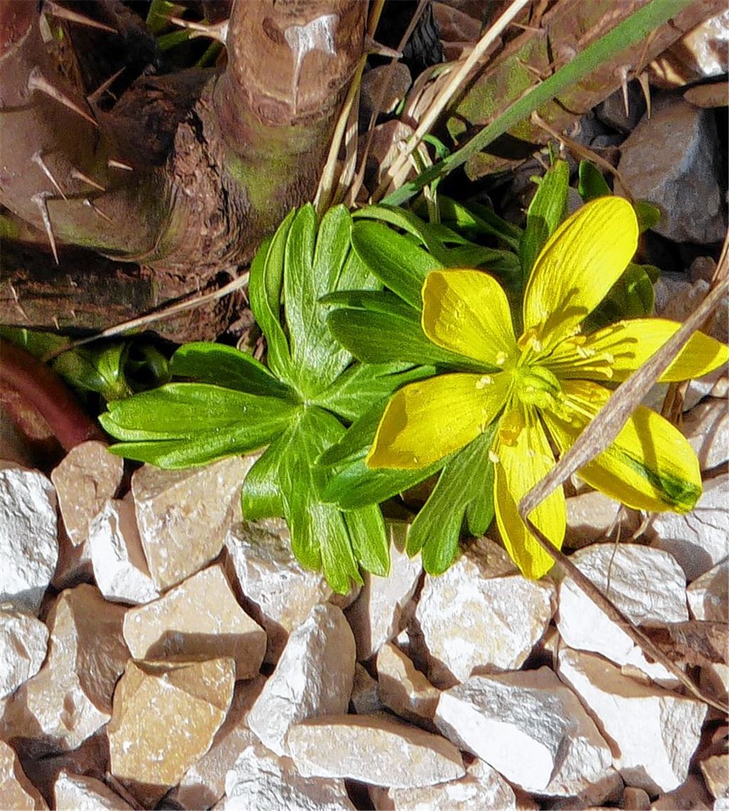 Frühlingsgefühle werden wach.