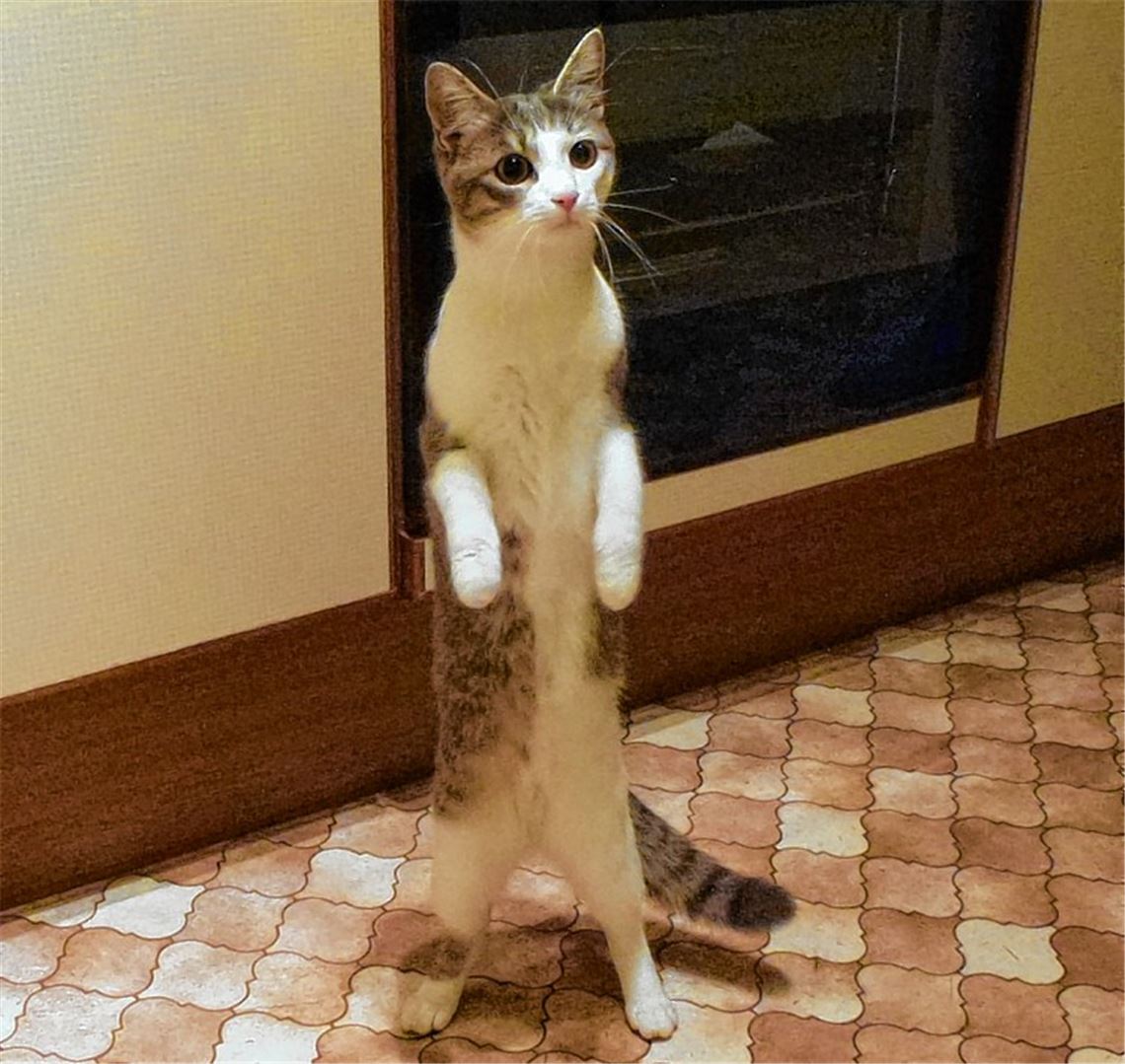 Kommt da der Frühling?