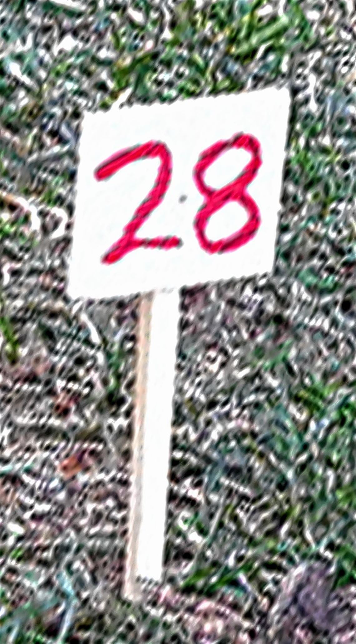 Lehrpfad der besonderen Art