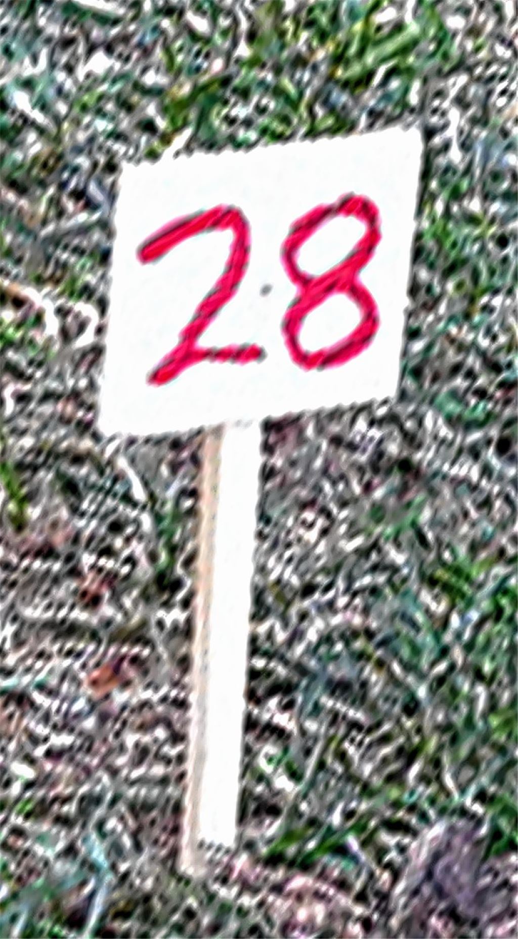 Lehrpfad der besonderen Art