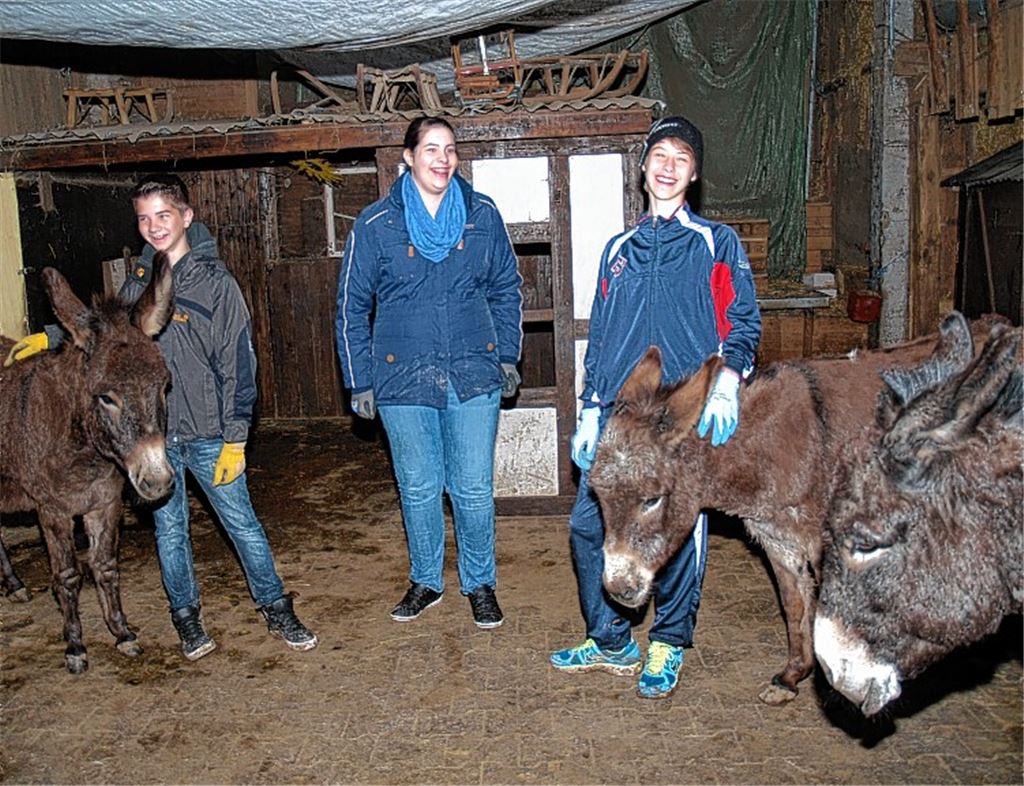 Schüler schuften auf dem Gnadenhof