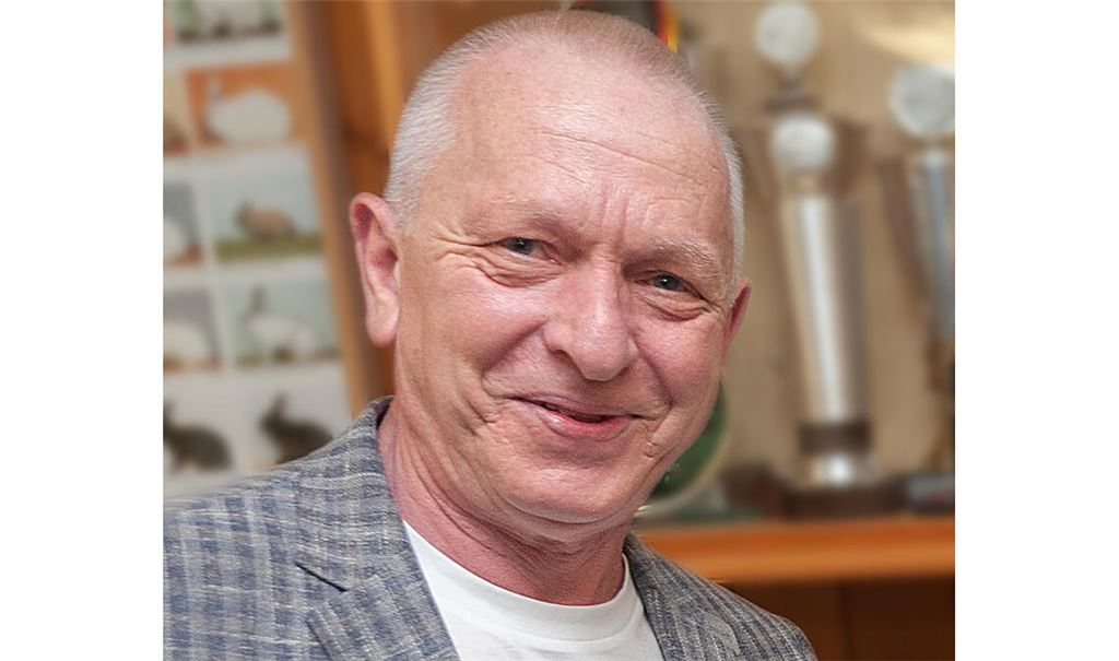 Werden Sie zur Wahl gehen?