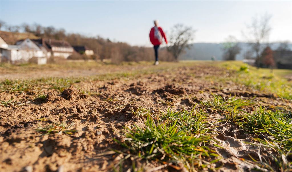 Dammweg nur mit Gummistiefeln?
