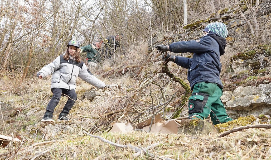 Schwerstarbeit im Steilhang freut die Natur Schwerstarbeit im Steilhang freut die Natur