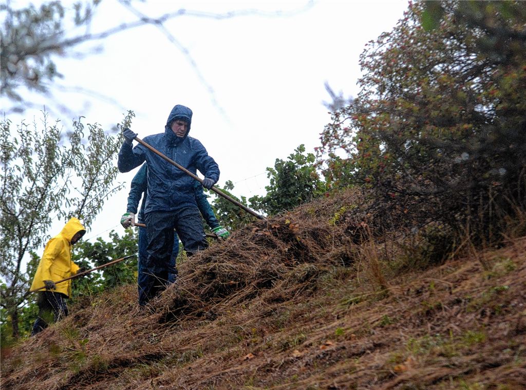 Regen stört Naturschützer nicht