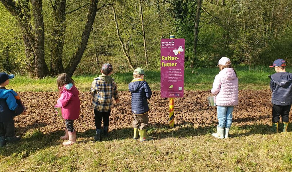 Kinder säen eine Blühwiese