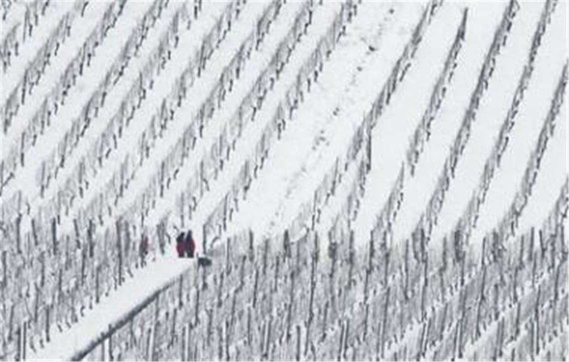 Helfer lösen schweres Problem