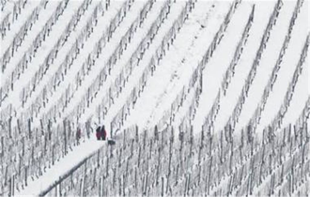 Helfer lösen schweres Problem