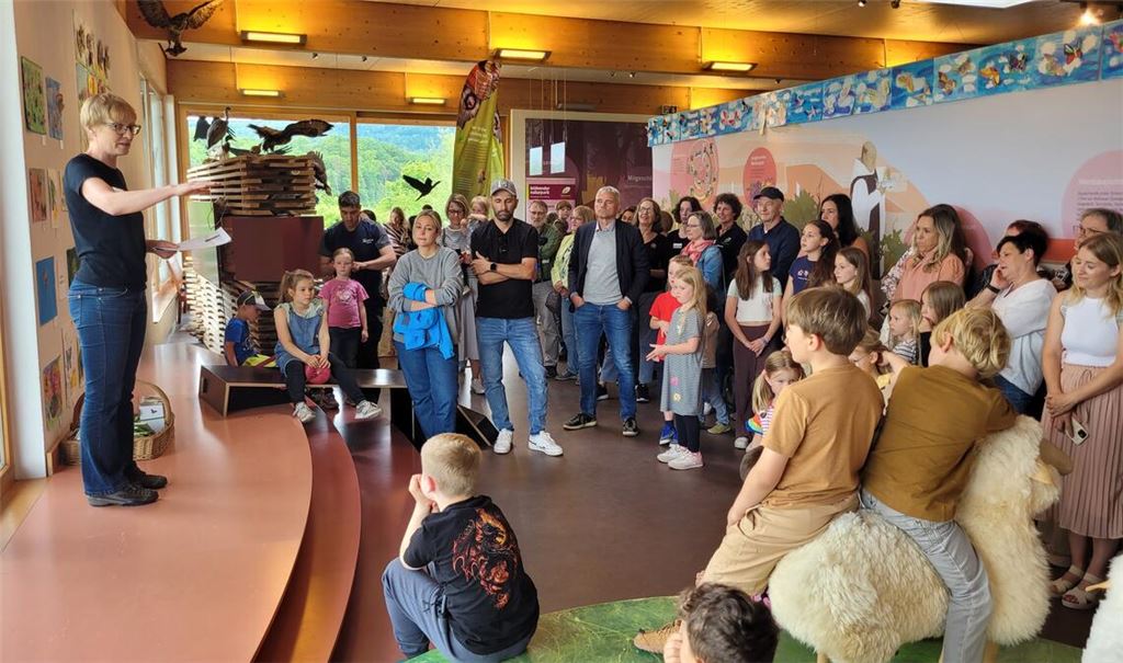 Ausstellung über Schmetterlinge