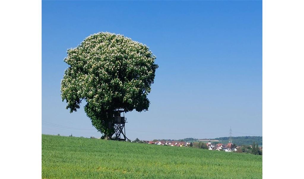 Frühlingsgefühle