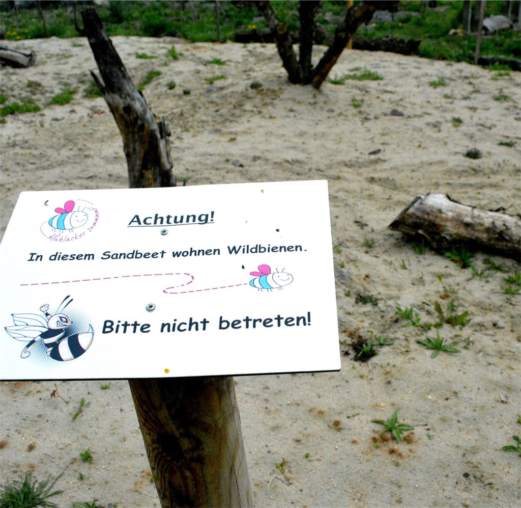 Freude über Frühlingsboten