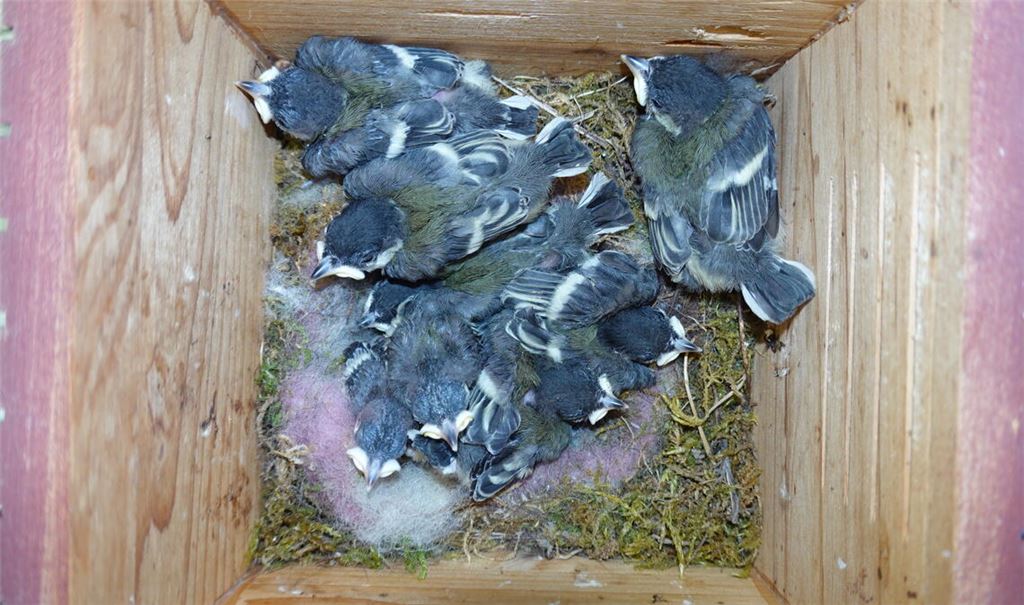Frühlingsgefühle