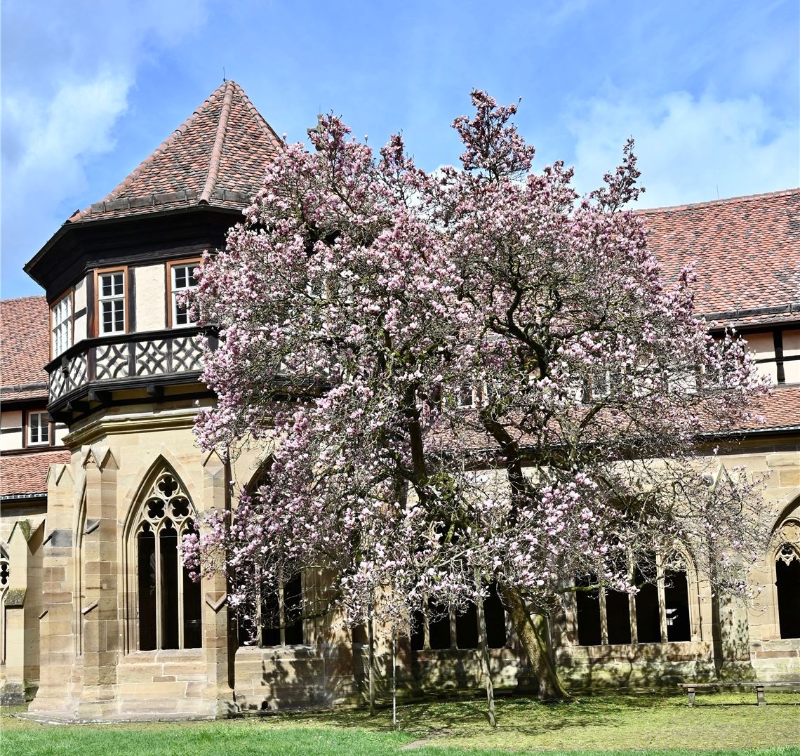 Frühlingsgefühle